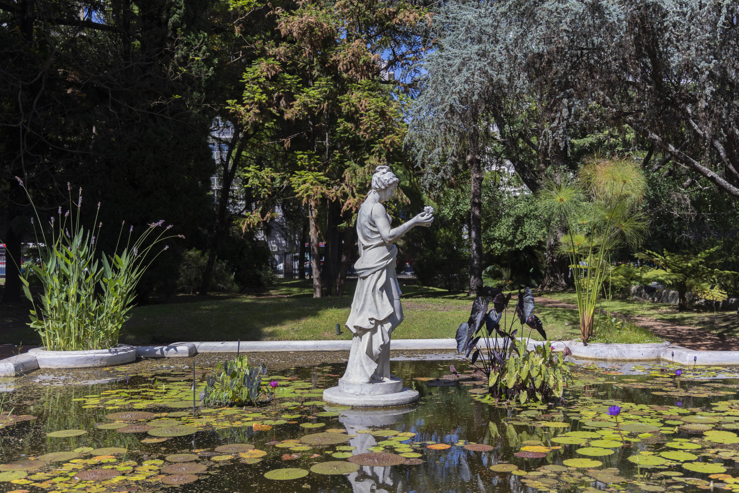 El estanque del Jardín Botánico de Buenos Aires - Historias en verde