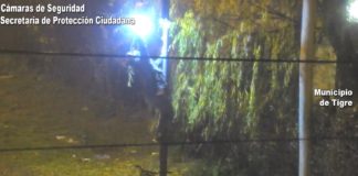 Se robó el foco de una luminaria en la vía pública y fue detenido por los agentes del Centro de Operaciones Tigre