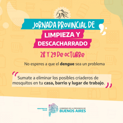 DENGUE PLACA1