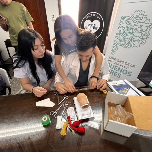 WhatsApp Image 2024-11-22 at 08.41.24