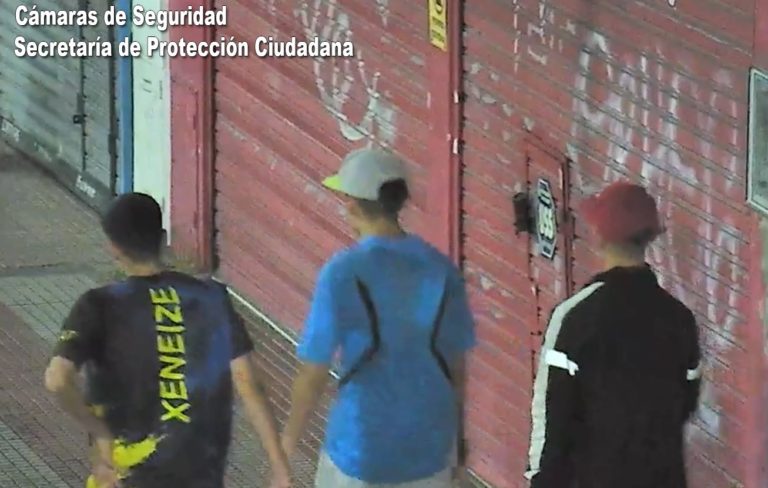 El Sistema de Protección Ciudadana de Tigre evitó el robo de una motocicleta en General Pacheco 