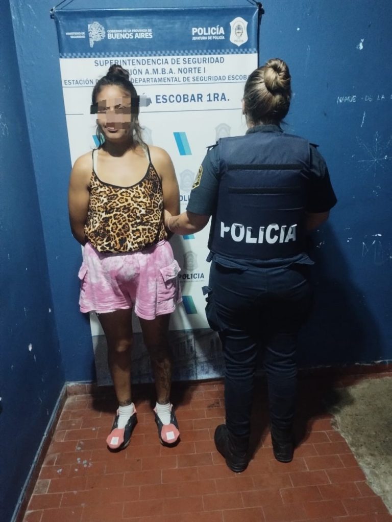 Robo en el supermercado “La Torre”: una detenida y un prófugo ya identificado 