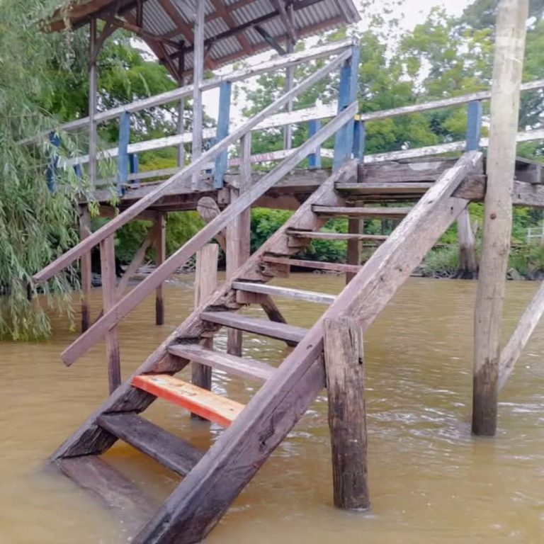 El Municipio de Tigre realizó labores de mantenimiento en el territorio del Delta