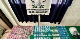 Vuelo corto: Gendarmería Nacional secuestró 509 dosis de droga en El Palomar