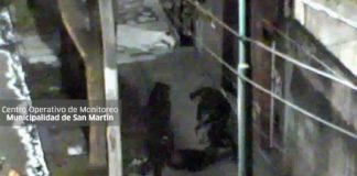 Las cámaras de seguridad de San Martín permitieron detener a un hombre que irrumpió en un domicilio de Villa Hidalgo