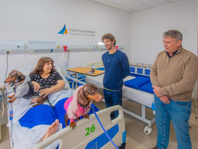 1 presentacion patitas de salud