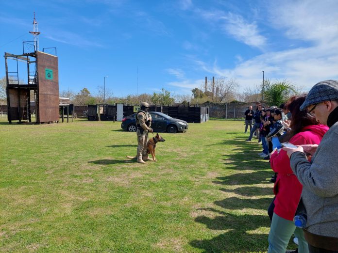 K 9 - Perros de rescate 1_0
