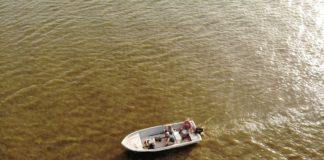Enamorate de la Provincia de Buenos Aires con sus paisajes primaverales únicos