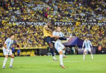 Argentina perdió con Ecuador pero cerró como líder las Eliminatorias Sudamericanas