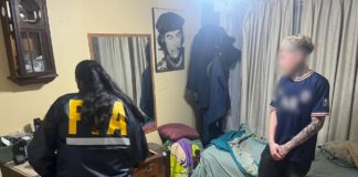 Operativo rebaño: el DFI recuperó una histórica pintura alemana perteneciente a un ex cónsul chileno