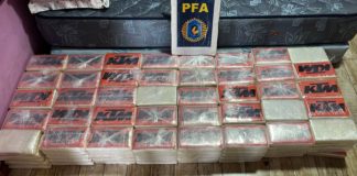 Operativo doble golpe: más de 280 kilos de cocaína incautados en el AMBA