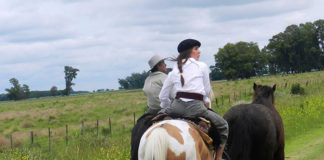 Calendario de eventos turísticos Provincia de Buenos Aires