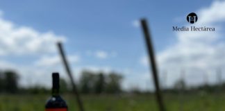 La esencia de la tierra en botellas que cuentan historias