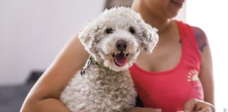 Vicente López fomenta el bienestar animal con nuevas jornadas de Zoonosis