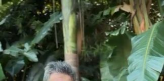 Massa llama a «contar hasta 7» y darle «fuerte al medio»