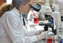 La Provincia financiará proyectos de investigación impulsados por 34 universidades de todo el país