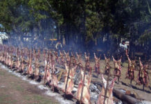 Calendario de eventos turísticos en la Provincia de Buenos Aires