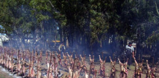 Calendario de eventos turísticos en la Provincia de Buenos Aires