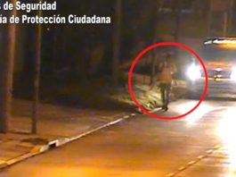Estaba prófugo de la Justicia, circulaba en un auto con pedido de captura e intentó darse a la fuga: quedó detenido