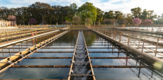 AySA recomienda cuidar el agua ante la ola de calor y las altas temperaturas