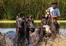 Eventos turísticos en la Provincia de Buenos Aires