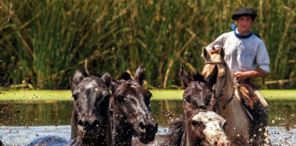 Eventos turísticos en la Provincia de Buenos Aires