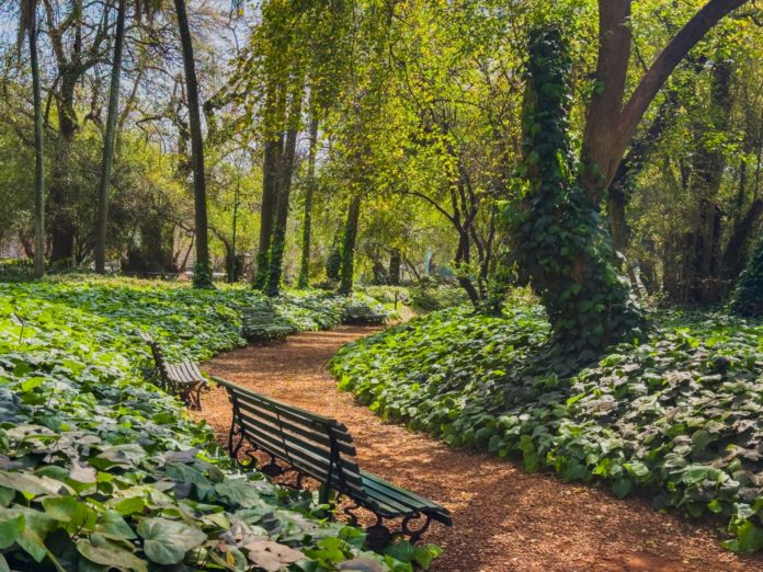 WhatsApp Image 2025-12-29 at 10.15.54