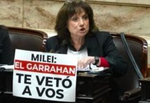 Vilma Ripoll: “Quería pedirle a Milei que cumpla con el Garrahan y deje de amenazar a sus trabajadores”