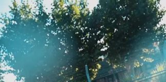 Escobar celebró el Día Internacional de las Personas con Discapacidad