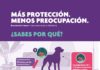 ¿Cuáles son los errores más comunes al combatir las garrapatas en perros y gatos?