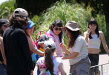 Programación de verano del Ecoparque