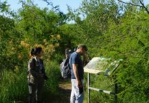 Verano en la Reserva Natural Urbana de San Miguel