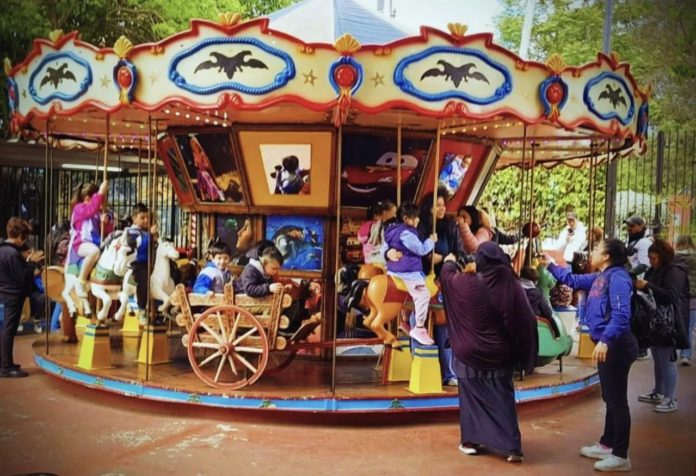 WhatsApp Image 2026-01-02 at 10.45.48