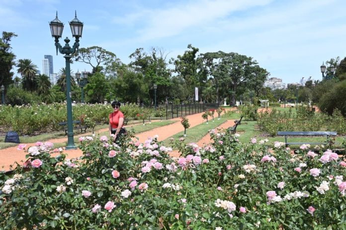 WhatsApp Image 2026-01-08 at 15.54.19