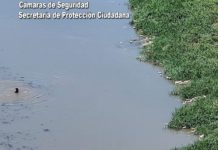 Una mujer se tiró al río en Troncos del Talar y puso en peligro su vida: la imprudencia quedó registrada por las cámaras del COT
