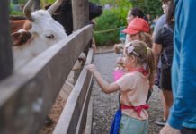 La Granja Don Benito abrió la inscripción para visitas escolares