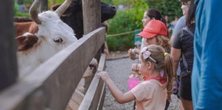 La Granja Don Benito abrió la inscripción para visitas escolares