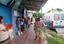 Zoonosis: jornadas gratuitas de castración y vacunación