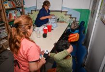 El Programa de Asistencia al Deporte Infantil realizó más de 4.900 controles médicos en instituciones de Tigre durante 2025