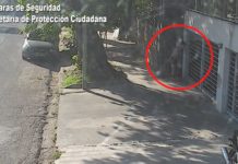 En Tigre centro, el COT detuvo a un individuo que ingresó a un domicilio a plena luz del día para robar