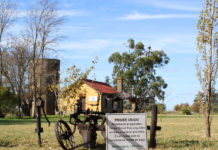 Mechongué y Balcarce: pasiones que laten entre campo y sierra