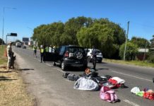 Drogas y licencia trucha en Ruta 2: Transporte PBA detectó a un conductor con el registro adulterado y que transportaba sustancias para vender