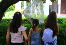 Cultura de Verano 2026