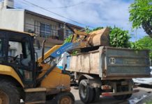 Cronograma del sistema municipal de recolección de ramas para esta semana