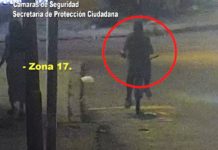 Gracias a las cámaras del COT, la Policía detuvo a un malviviente por robar herramientas en un comercio en Don Torcuato