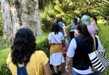 Catálogo familiar de flores y plantas | A cargo de Romina Orazi, artista visual y jardinera