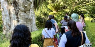 Catálogo familiar de flores y plantas | A cargo de Romina Orazi, artista visual y jardinera