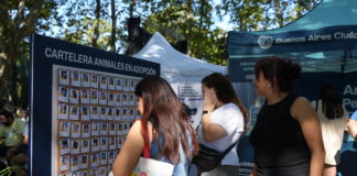Primer Jornada de Adopción de Perros y Gatos
