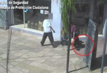 Una pareja fue captada infraganti robándole el celular a un vecino con discapacidad: quedaron detenidos en Benavídez