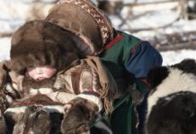 BAFILMA renueva contenidos